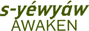 s-yewyaw-green-logo